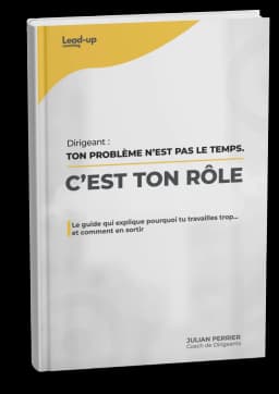 Guide « Ton problème, c'est ton rôle de dirigeant »